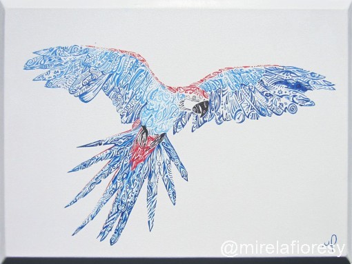 Macaw | Mirela Fioresy