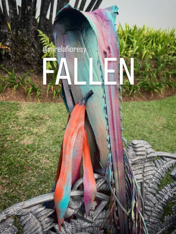 fallen-mirelafioresy