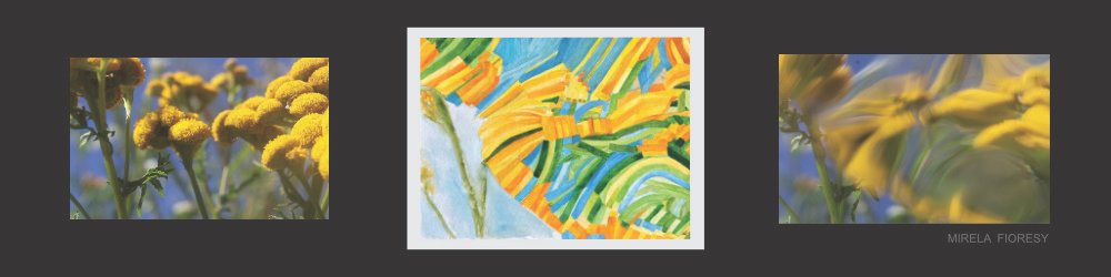 RE|FRACTION: Atelier-Stiftung Kunst und Natur Artist in Residency Project
